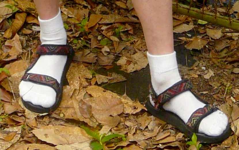 The great scandal - socks & sandals!